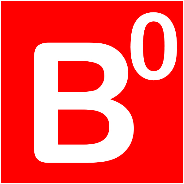 B0-image
